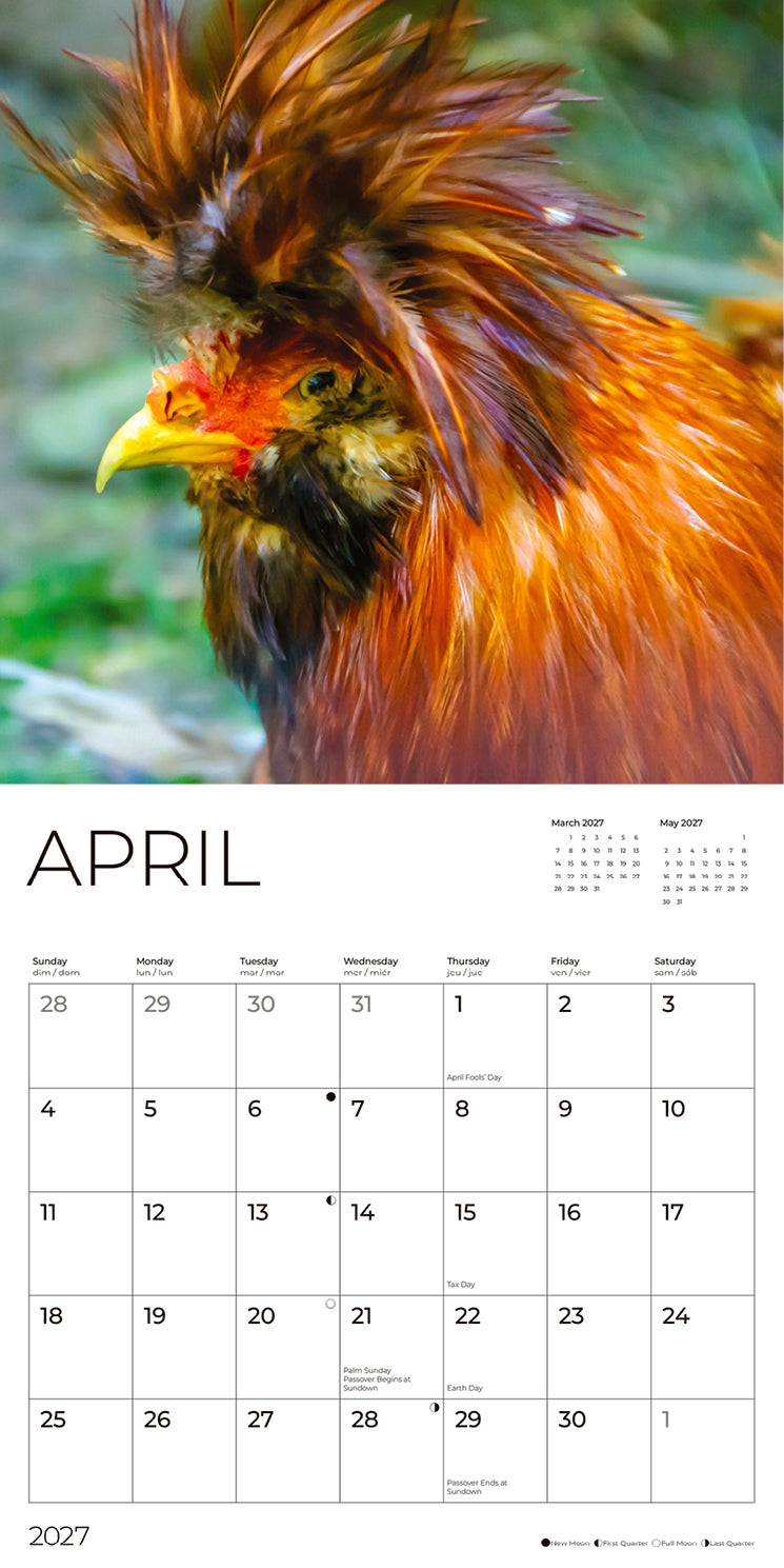 '27 Wall Calendar - Roosters