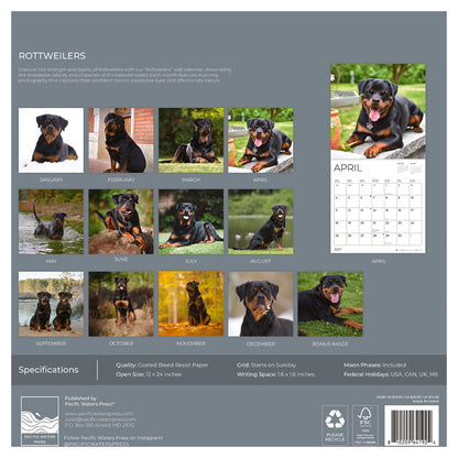 '27 Wall Calendar - Rottweilers