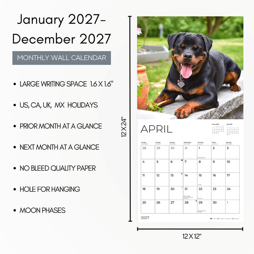 '27 Wall Calendar - Rottweilers