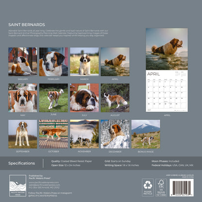 '27 Wall Calendar - Saint Bernards