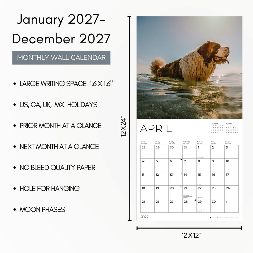 '27 Wall Calendar - Saint Bernards