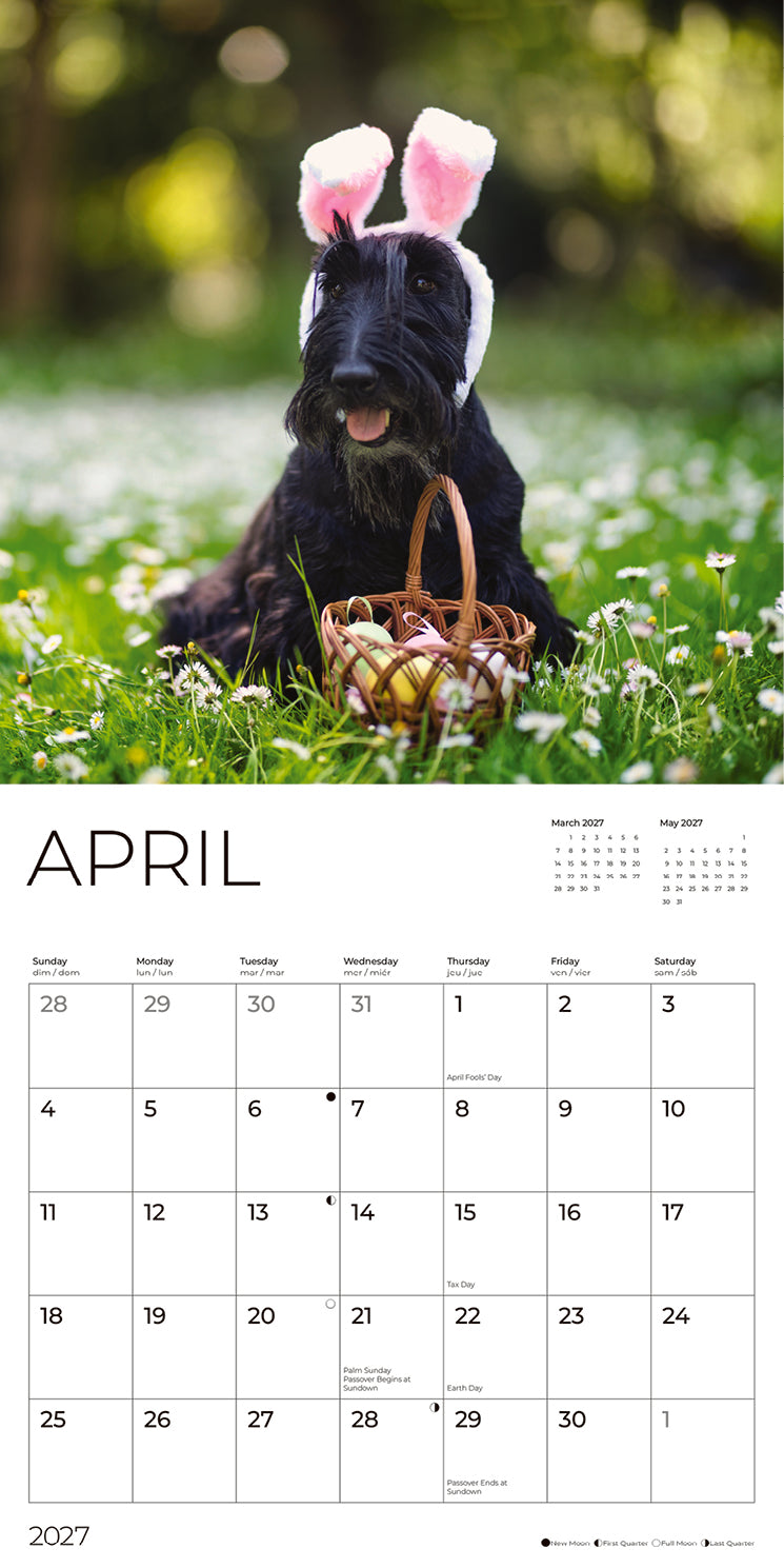 '27 Wall Calendar - Scottish Terriers