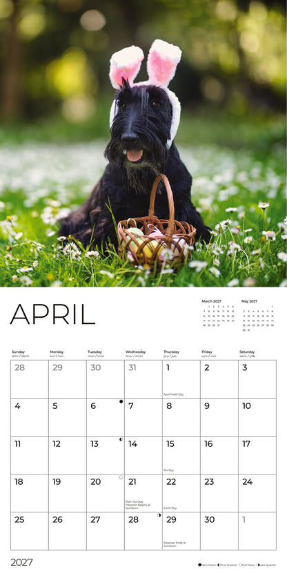 '27 Wall Calendar - Scottish Terriers