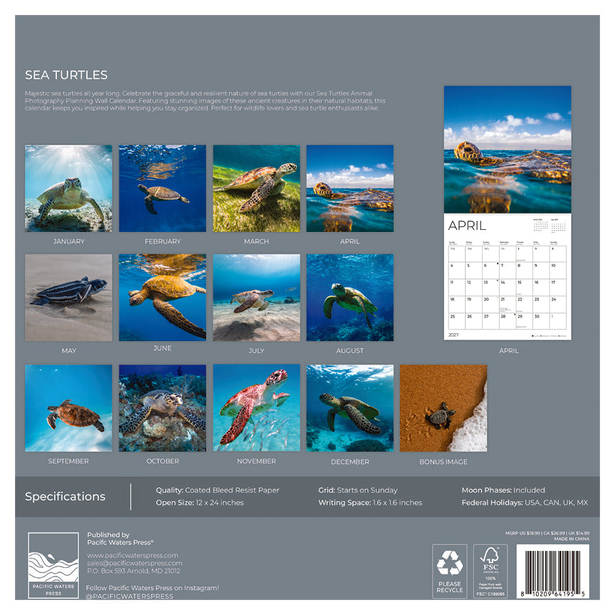 '27 Wall Calendar - Sea Turtles