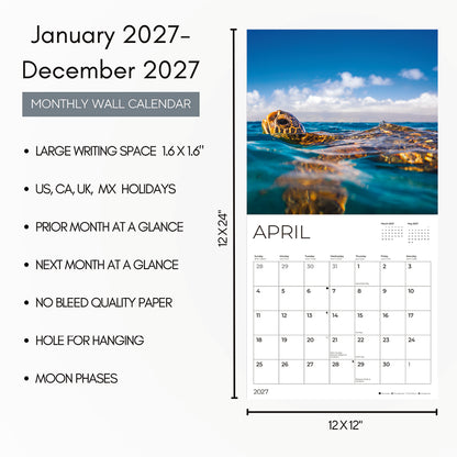 '27 Wall Calendar - Sea Turtles