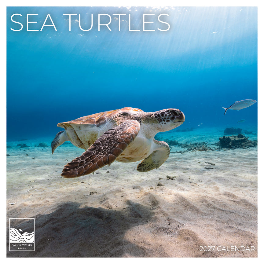 '27 Wall Calendar - Sea Turtles