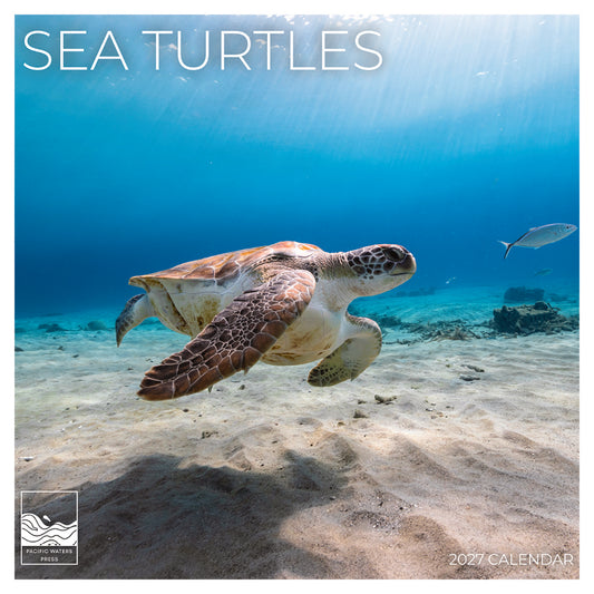 '27 Wall Calendar - Sea Turtles