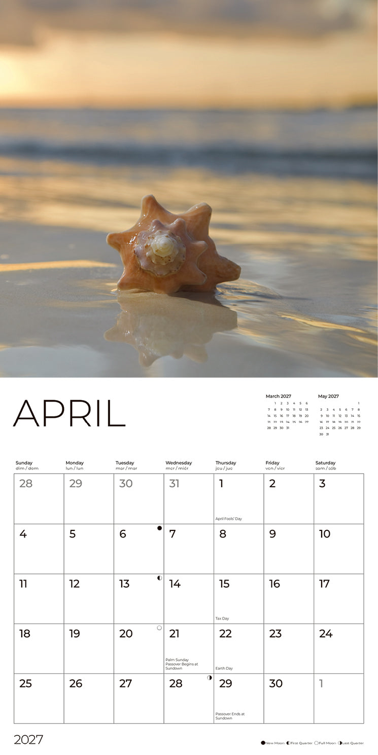'27 Wall Calendar - Seashells