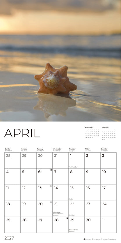 '27 Wall Calendar - Seashells