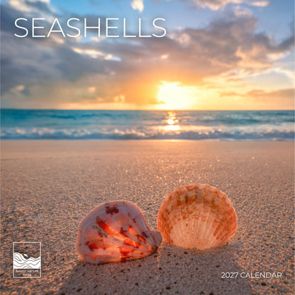 '27 Wall Calendar - Seashells