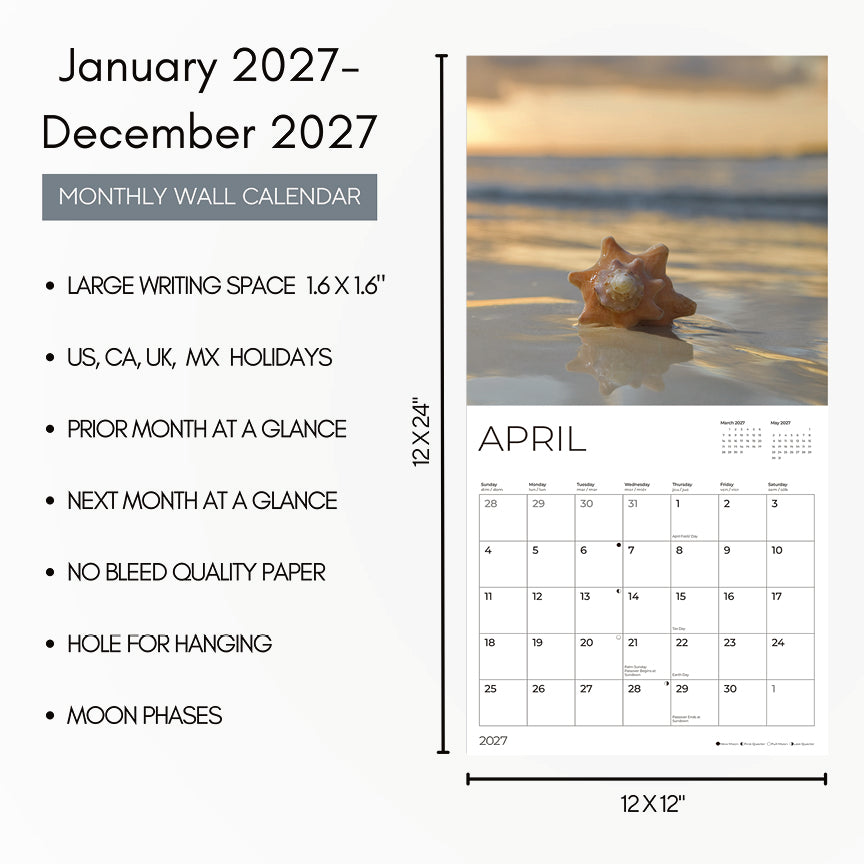 '27 Wall Calendar - Seashells