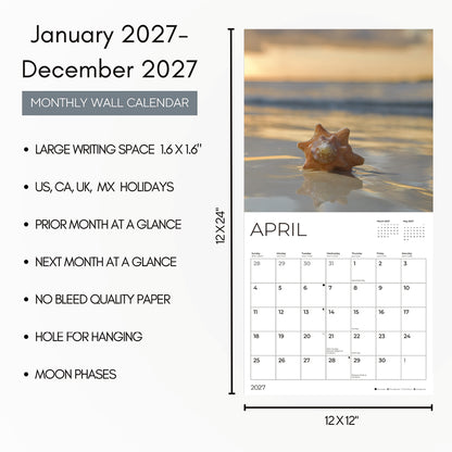'27 Wall Calendar - Seashells