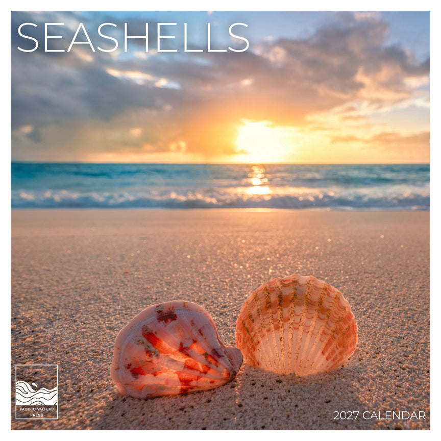 '27 Wall Calendar - Seashells