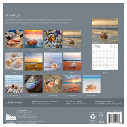 '27 Wall Calendar - Seashells