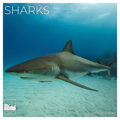 '27 Wall Calendar - Sharks