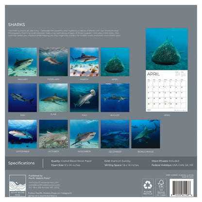 '27 Wall Calendar - Sharks