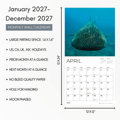 '27 Wall Calendar - Sharks