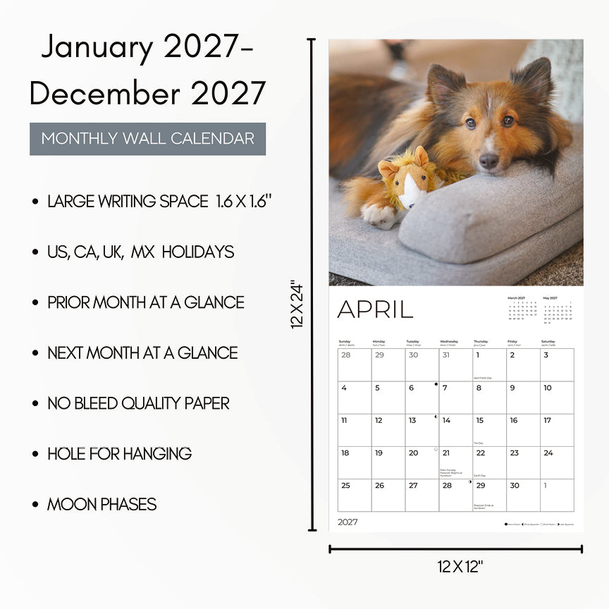 '27 Wall Calendar - Shetland Sheepdogs