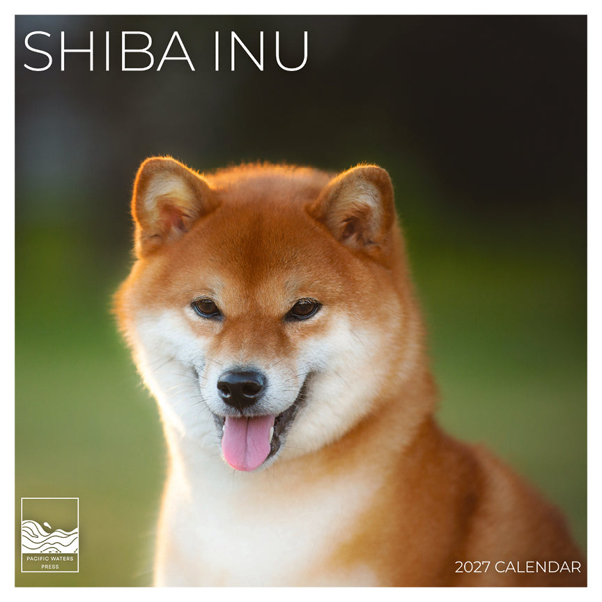 '27 Wall Calendar - Shiba Inu