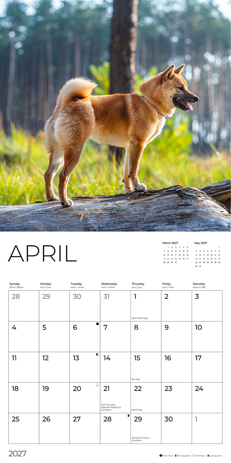 '27 Wall Calendar - Shiba Inu