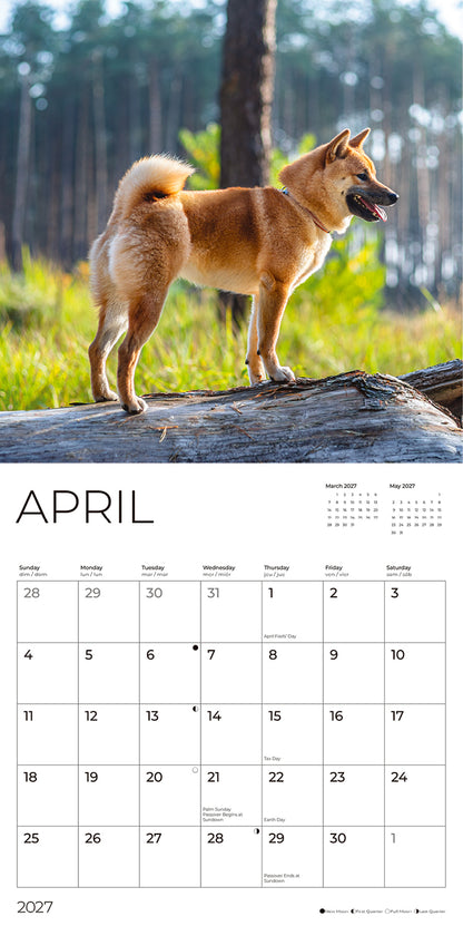 '27 Wall Calendar - Shiba Inu