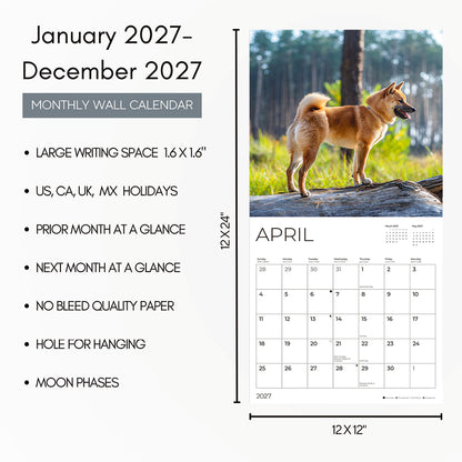 '27 Wall Calendar - Shiba Inu