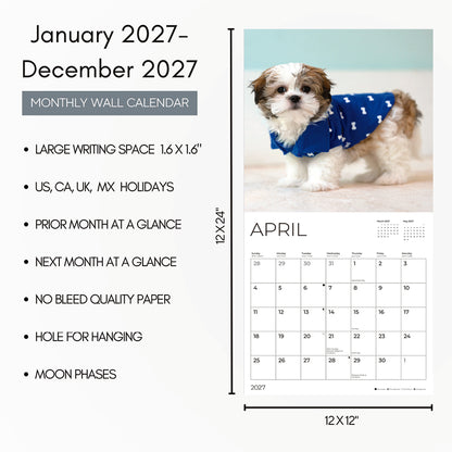 '27 Wall Calendar - Shih Tzu Puppies