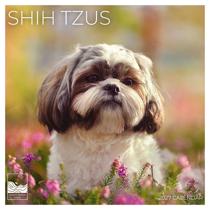 '27 Wall Calendar - Shih Tzus