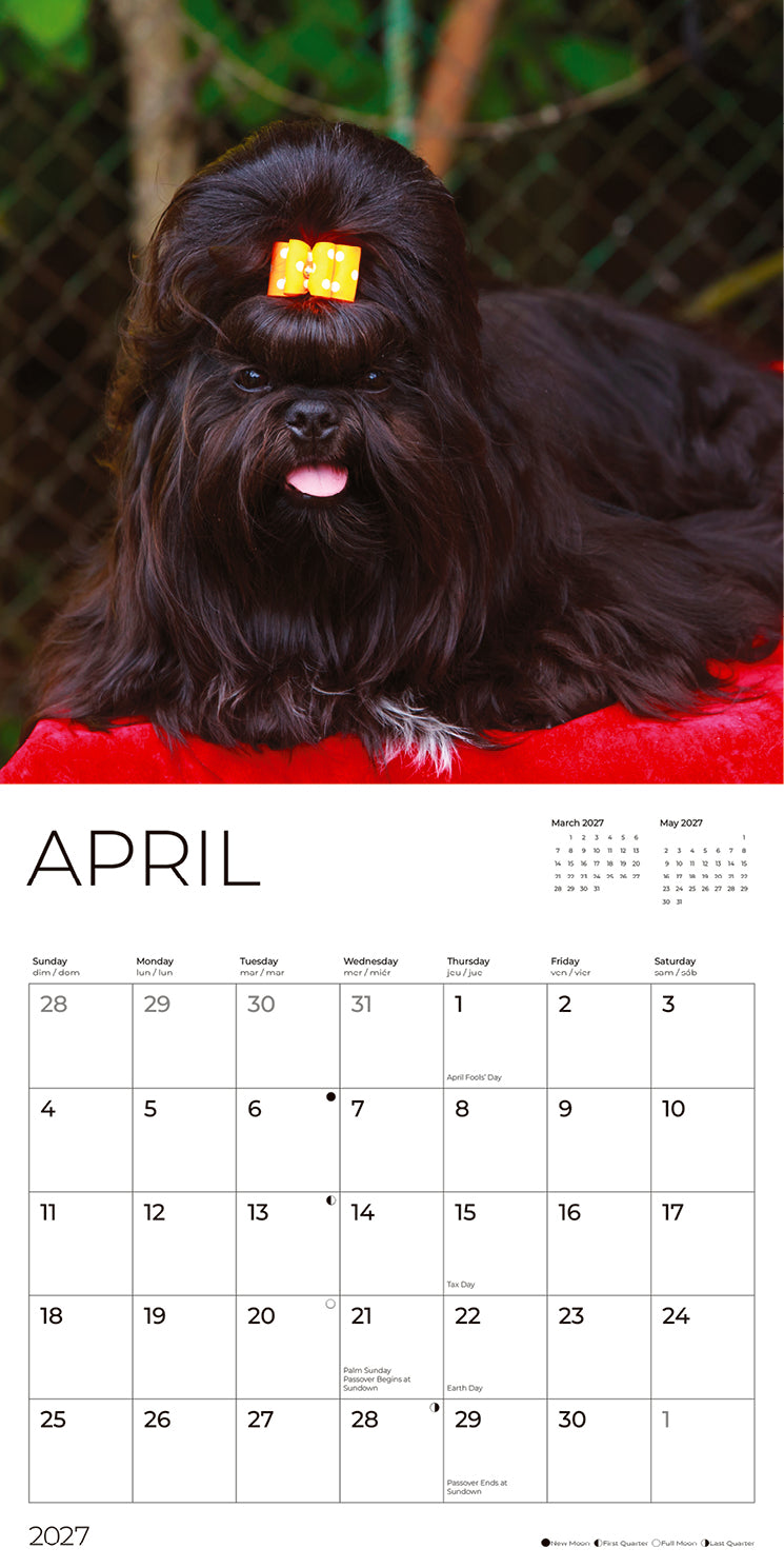 '27 Wall Calendar - Shih Tzus