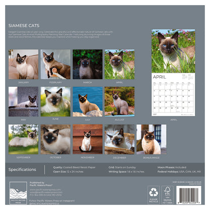 '27 Wall Calendar - Siamese Cats