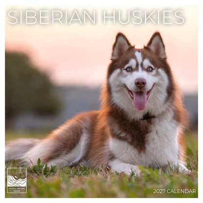 '27 Wall Calendar - Siberian Huskies