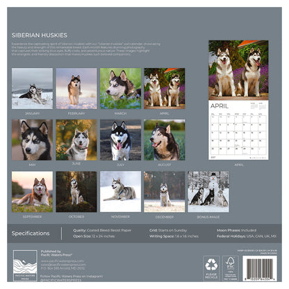 '27 Wall Calendar - Siberian Huskies