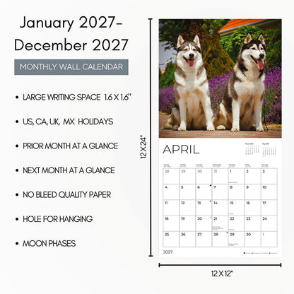 '27 Wall Calendar - Siberian Huskies