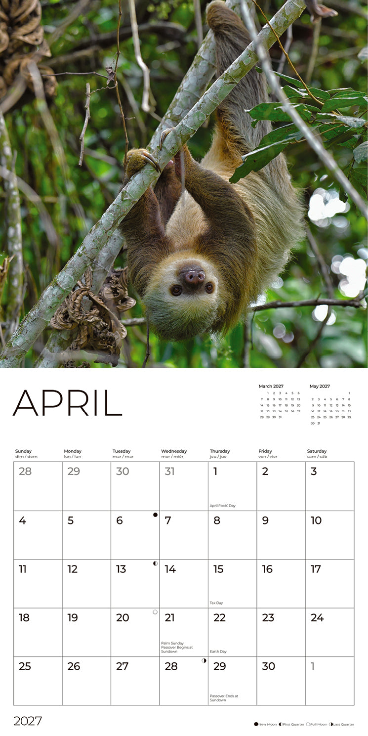 '27 Wall Calendar - Sloths