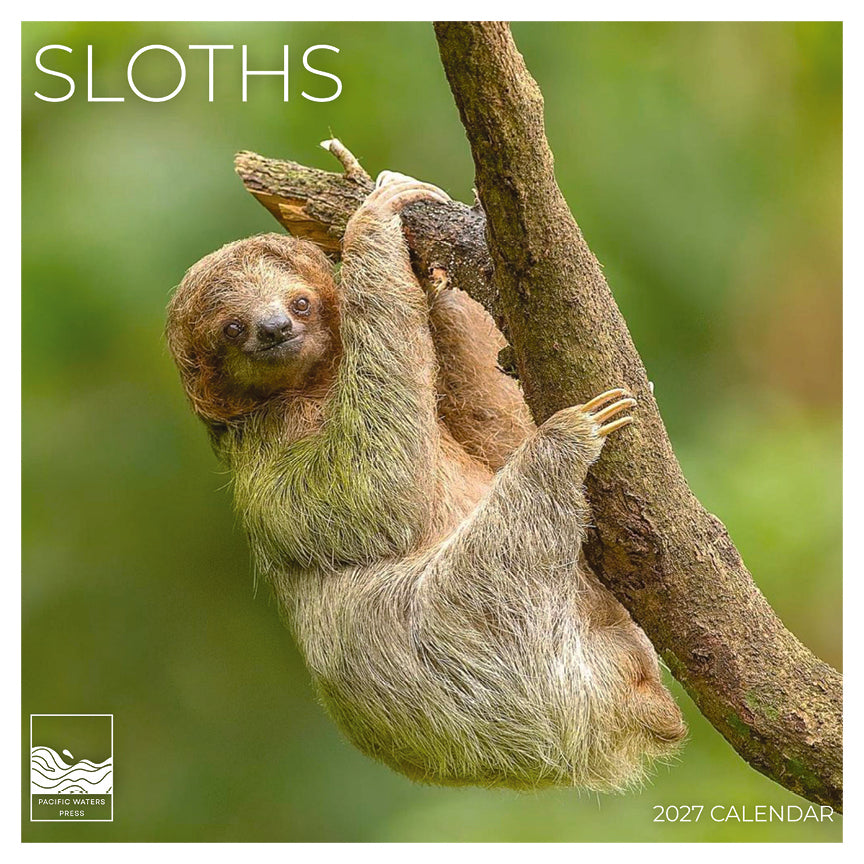 '27 Wall Calendar - Sloths