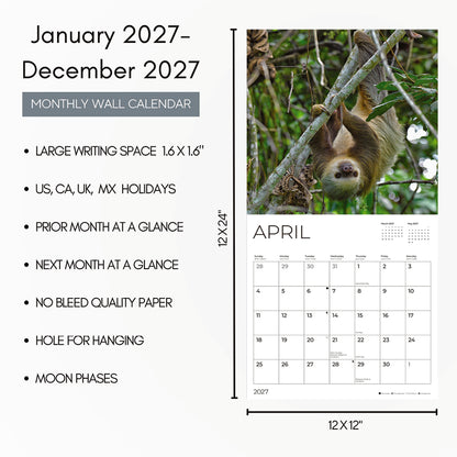 '27 Wall Calendar - Sloths