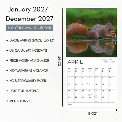 '27 Wall Calendar - Squirrels