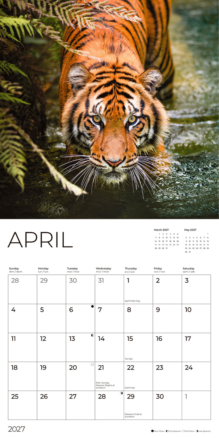 '27 Wall Calendar - Tigers