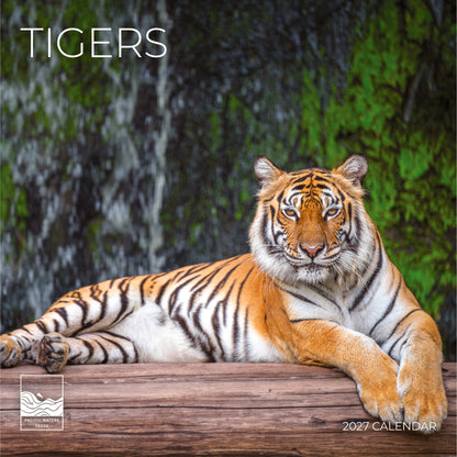 '27 Wall Calendar - Tigers