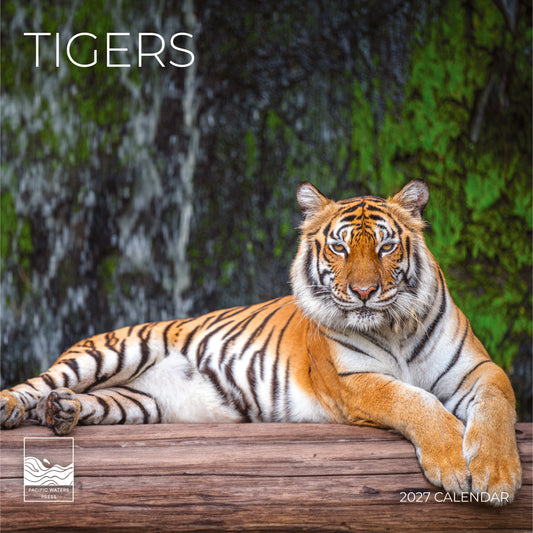 '27 Wall Calendar - Tigers