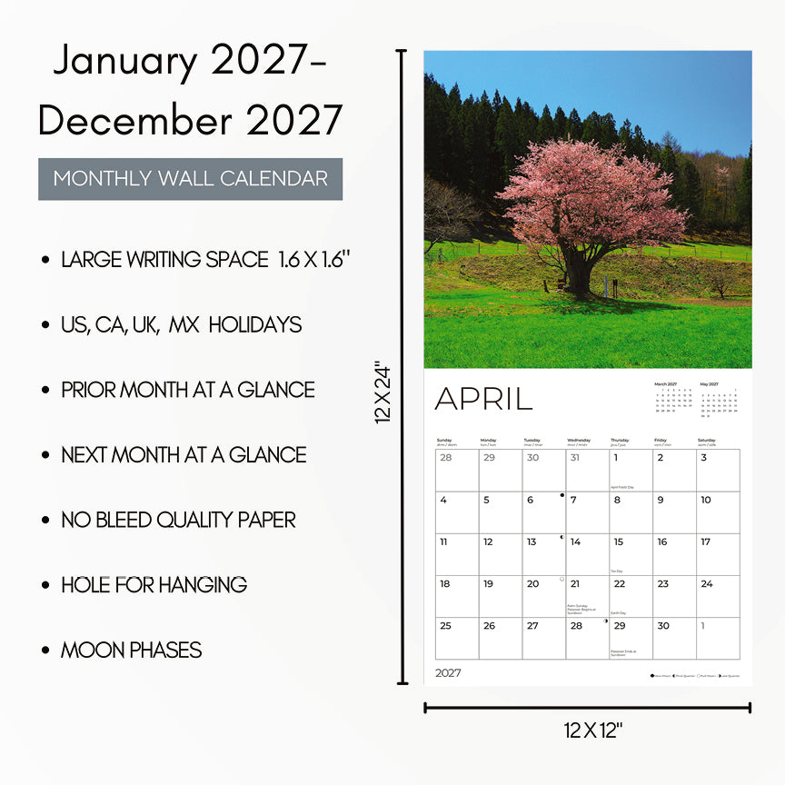 '27 Wall Calendar - Trees