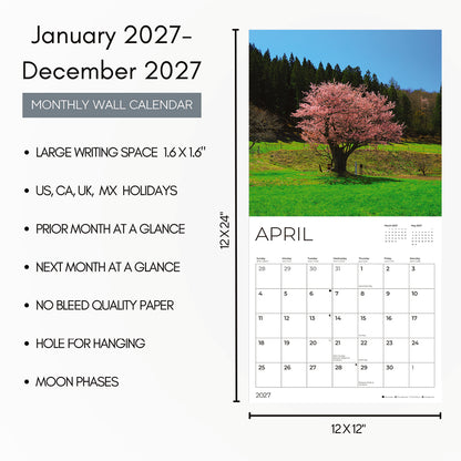 '27 Wall Calendar - Trees