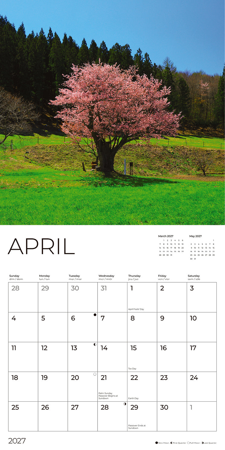'27 Wall Calendar - Trees