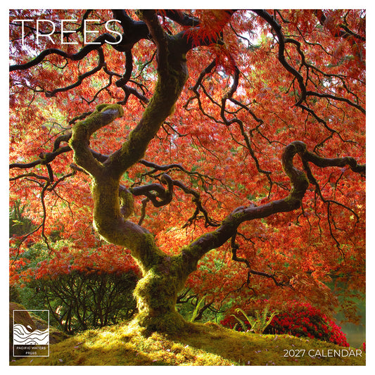 '27 Wall Calendar - Trees
