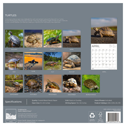 '27 Wall Calendar - Turtles