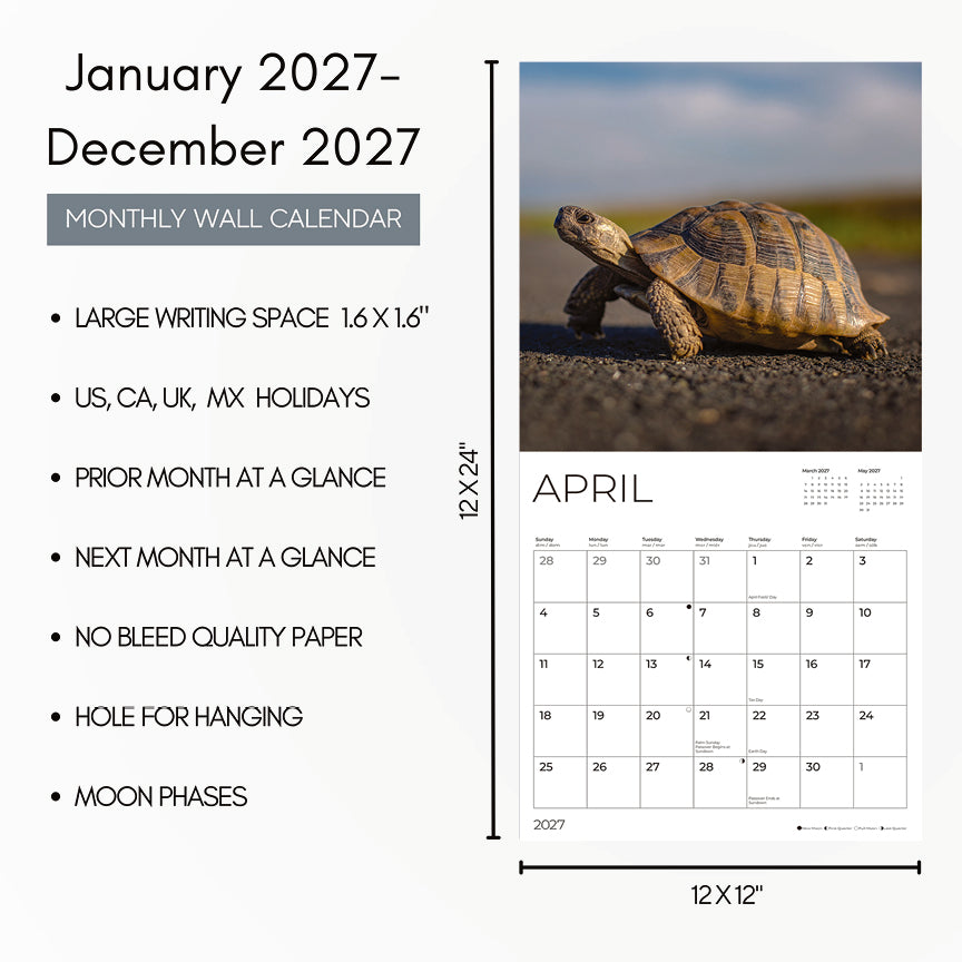 '27 Wall Calendar - Turtles