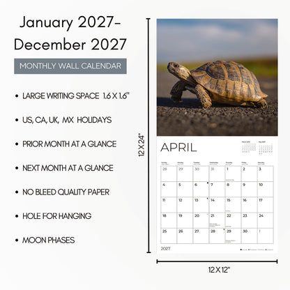 '27 Wall Calendar - Turtles