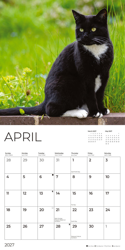'27 Wall Calendar - Tuxedo Cats