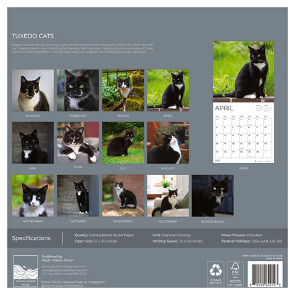 '27 Wall Calendar - Tuxedo Cats