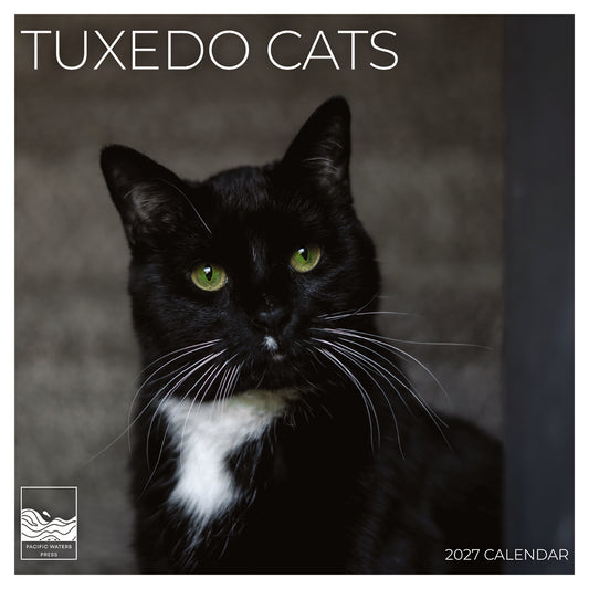 '27 Wall Calendar - Tuxedo Cats